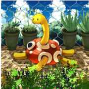 Juicebox The Shuckle