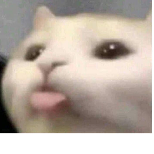 Maru