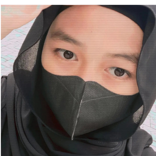 M fadlilah Nur ilham