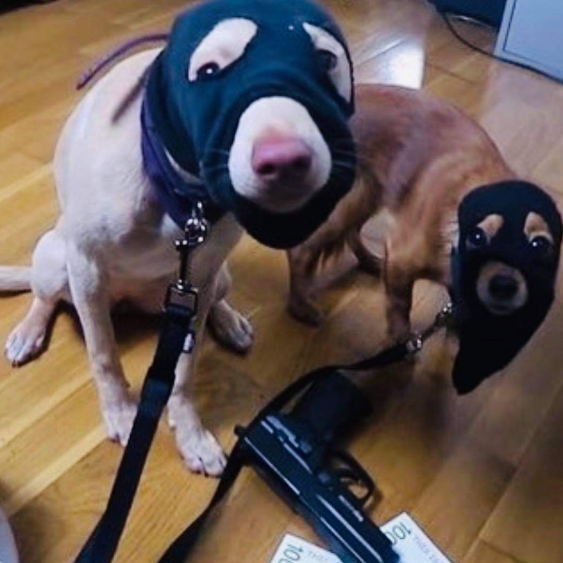 𝙐𝙣𝙆𝙣𝙤𝙬𝙣 ඞ