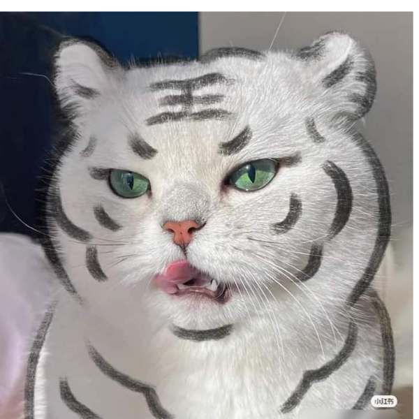 คุณชาย ไม้แบท