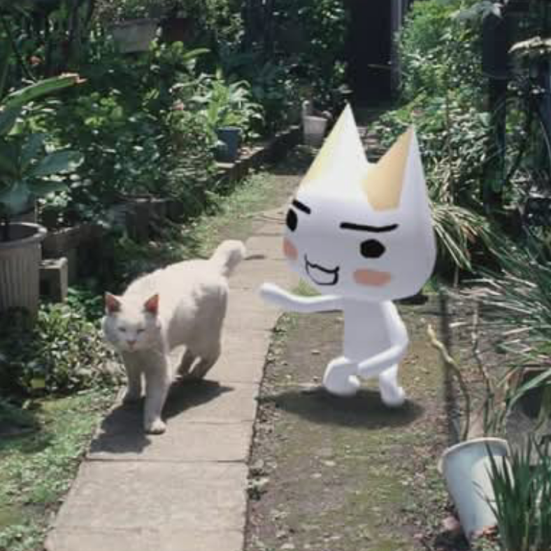 meow:3