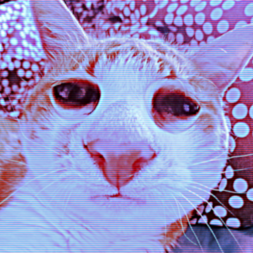 🔥cabocabocabo🔥