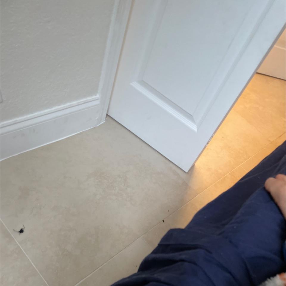 Daniel Miller Daniel do you ha