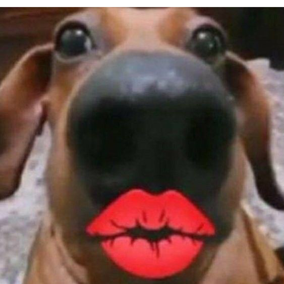 𝓖𝓐𝓑𝓡𝓘𝓔𝓛  𝓓𝓔𝓛 𝓡𝓔𝓨