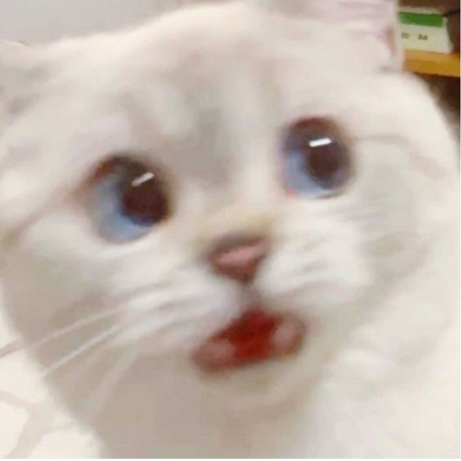 짱구보는엄준식