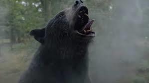 ดู-หมีคลั่ง / Cocaine Bear 202