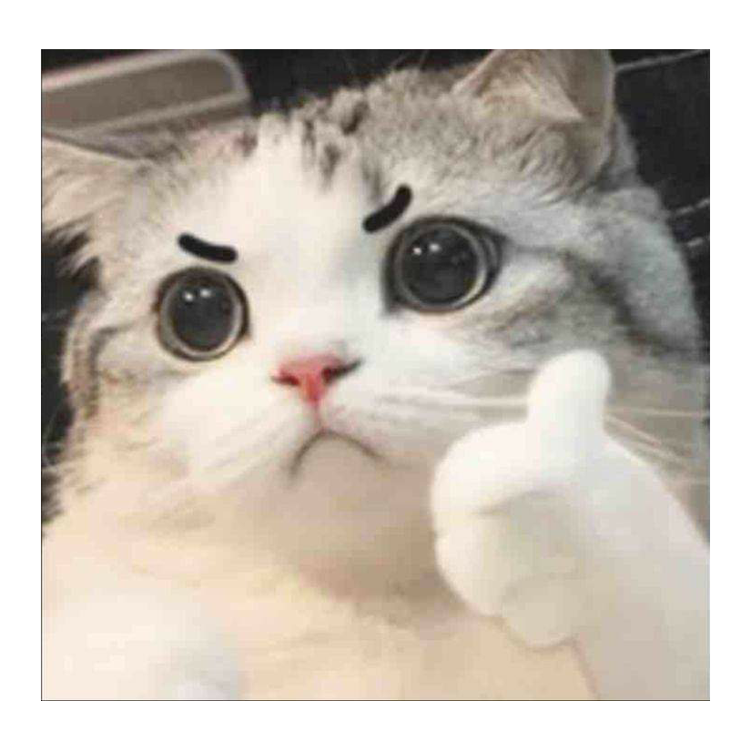 Imma Catto