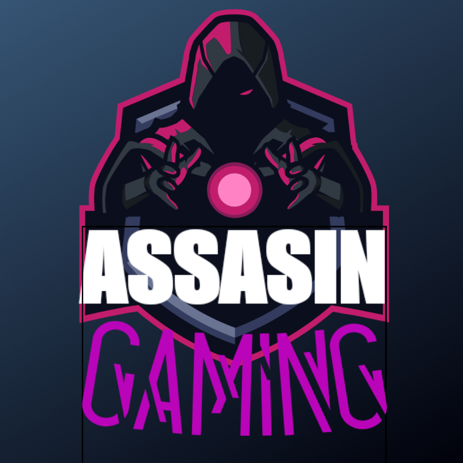 assassin Gaming