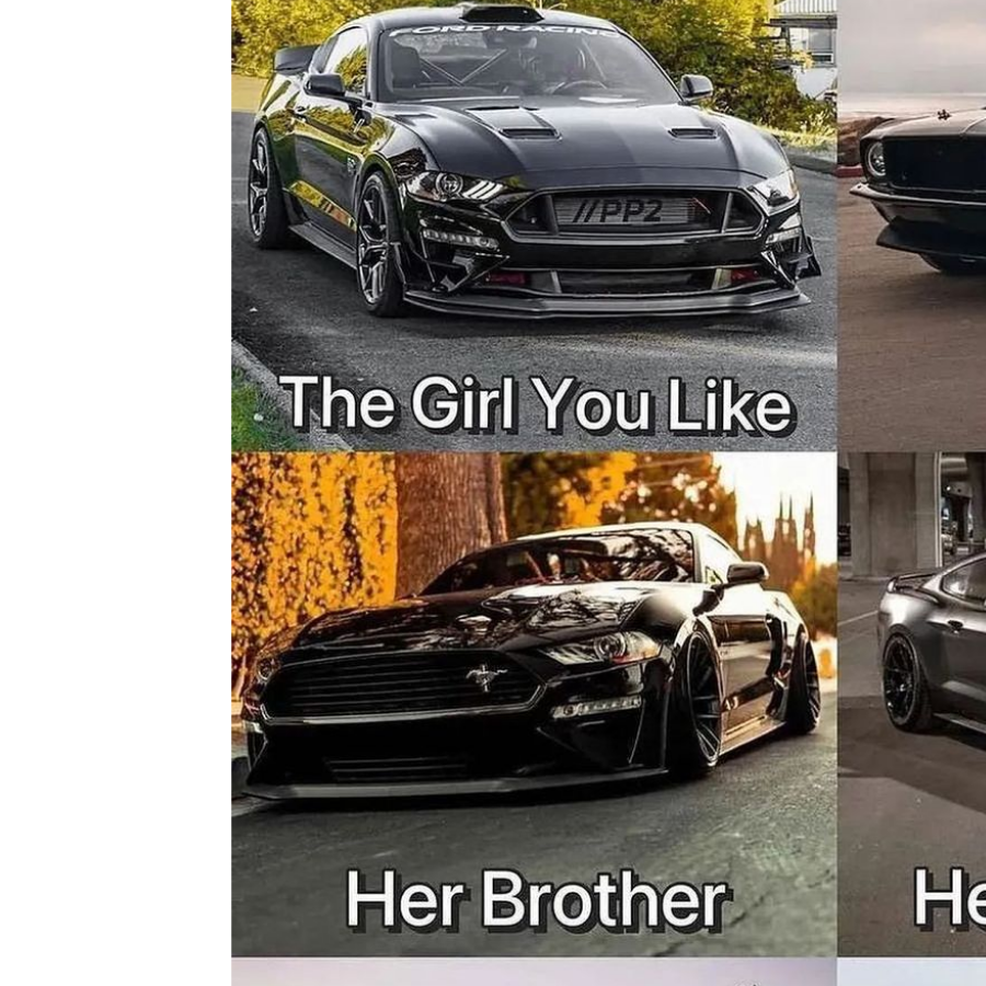 Dakota Lunau-swanton