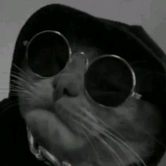 salsa de tomate  2.0