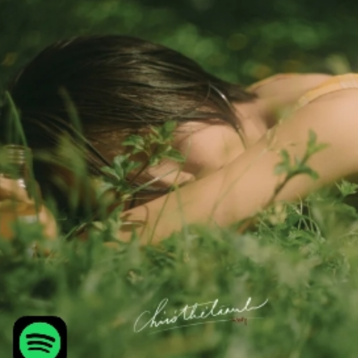  ไอคอนของ player