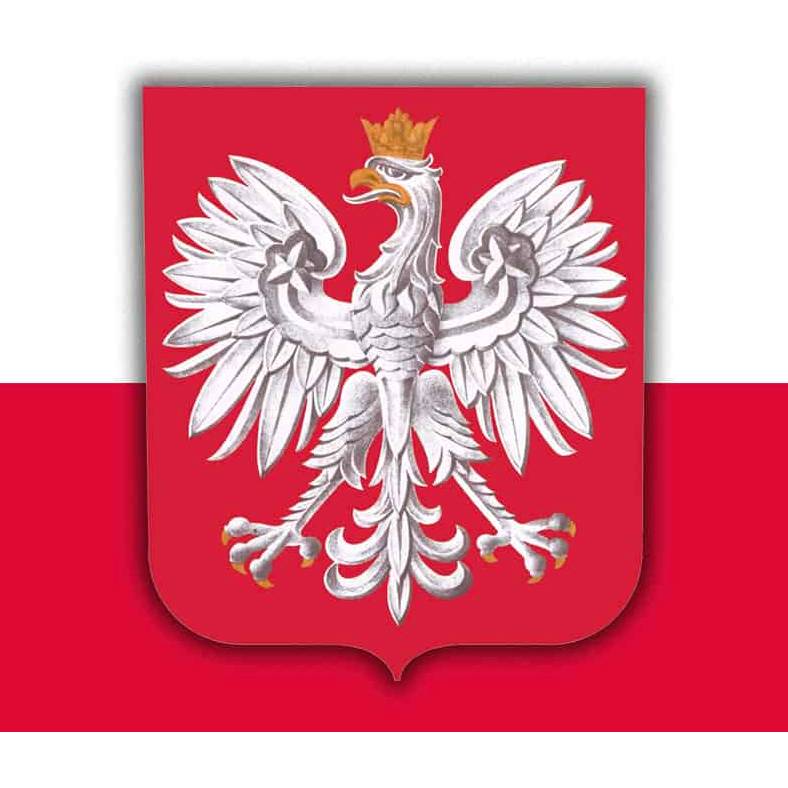 The polish government