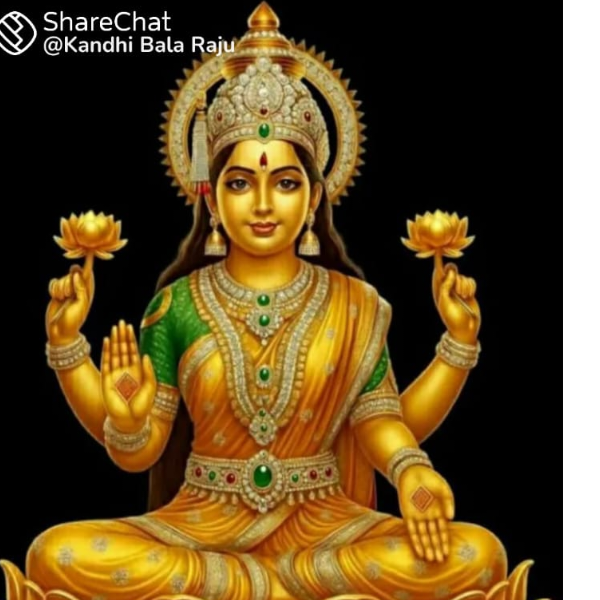 avela Nani
