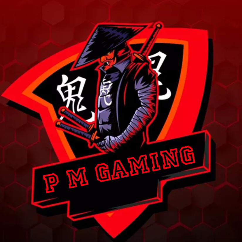 P M Gaming