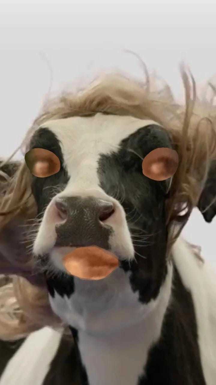 mimi