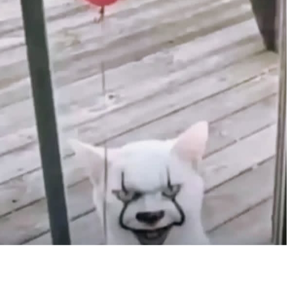 Samboxa