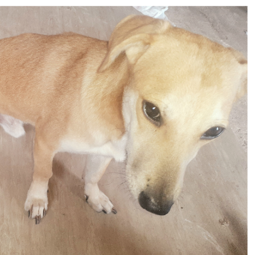 Zathir°88122509°◇