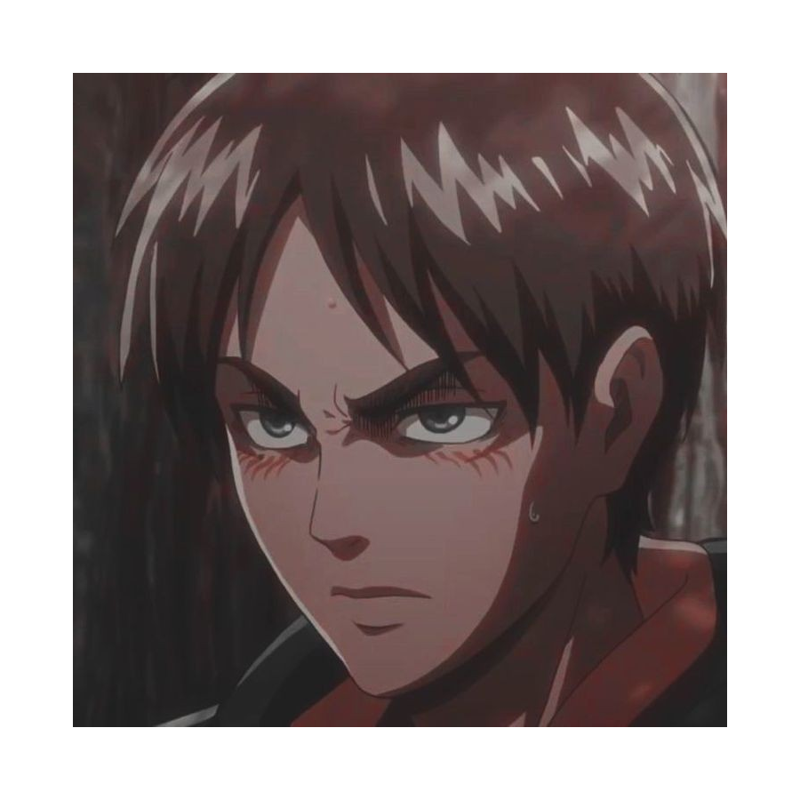 060520230117200807292008