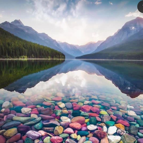 King 👑 of Devil 😈