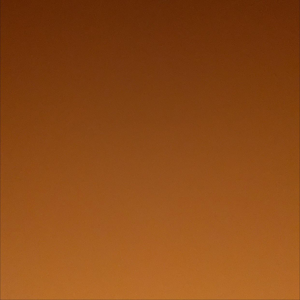 الجوكر