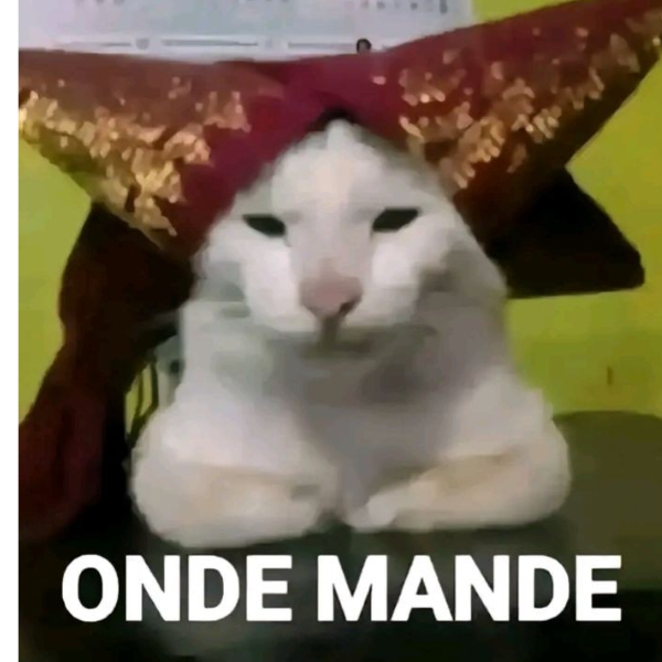 Aldi ondemande