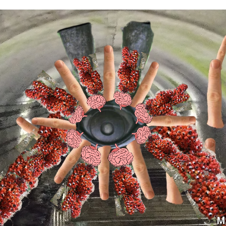 戦闘型チンコ(エロティック)