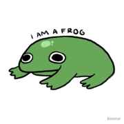 Flooplear