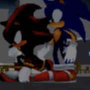 Sonic and shadow 