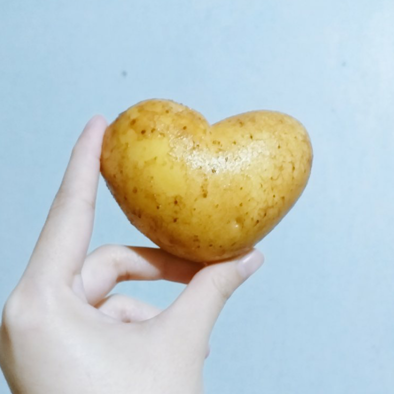hapihappy