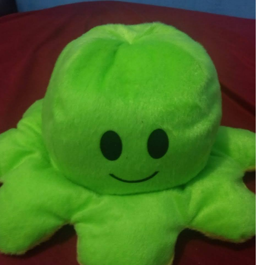 erike Cardoso do santos