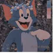 Tuffy lover Tom and jerry