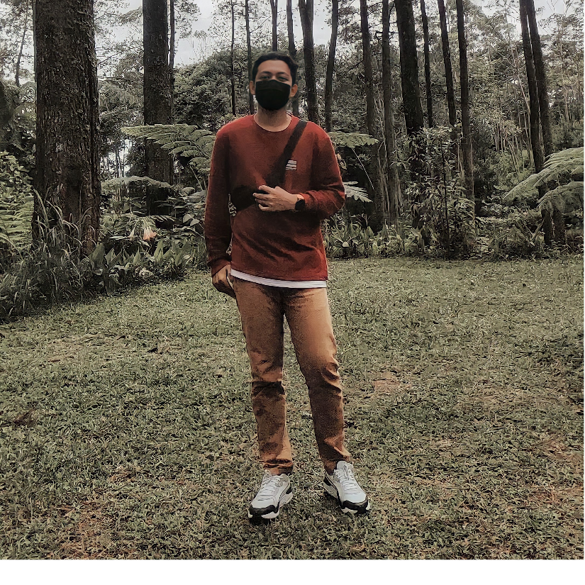 Aris Hamzah