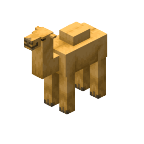 Camel