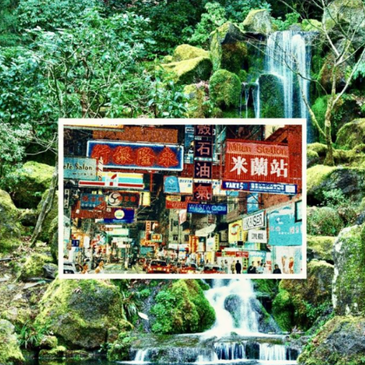 Jacob Sturgill(I ♥️ Yot Club)