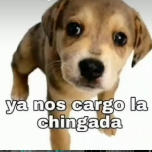 Ya Nos Cargo La Chingada