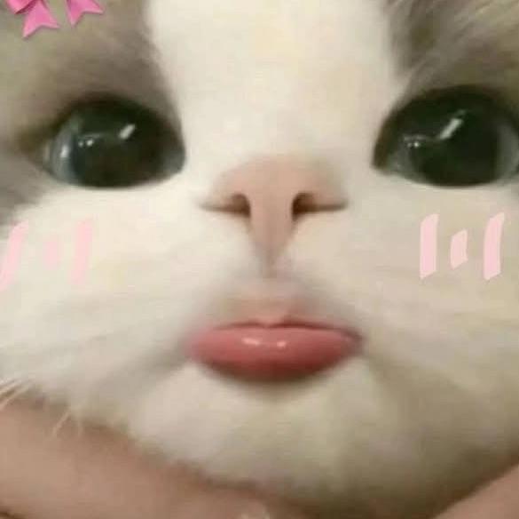 Rina