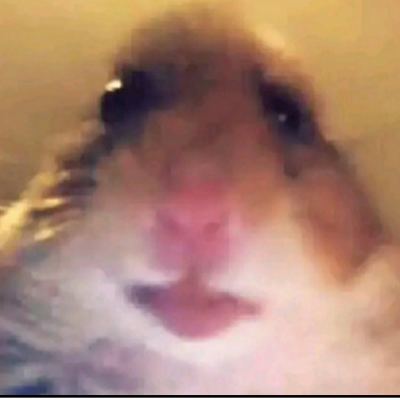 Ƭɴ★ ᭄ᴍᴀꜰɪᴀʏᴛ࿐