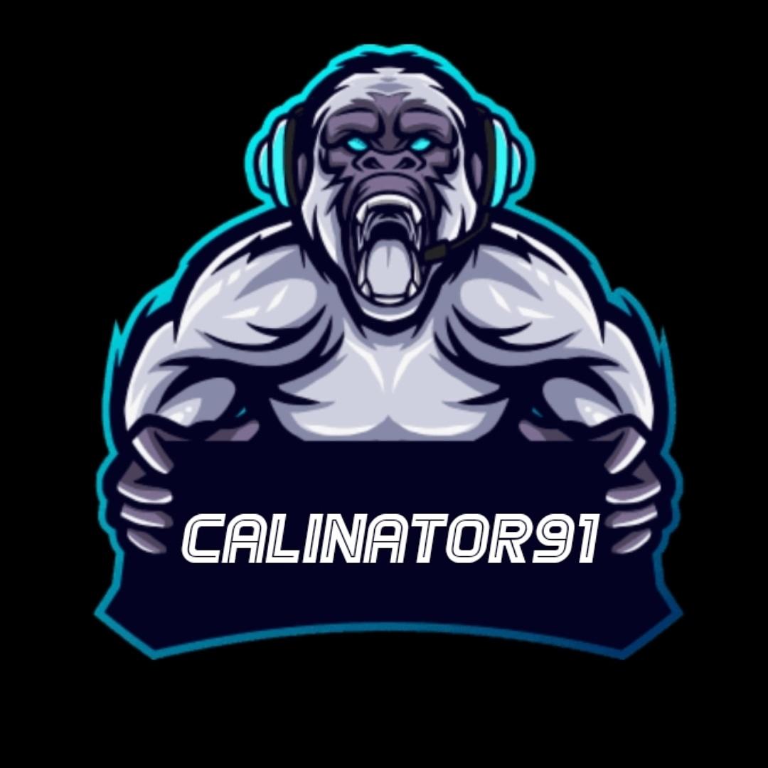 Calinator91