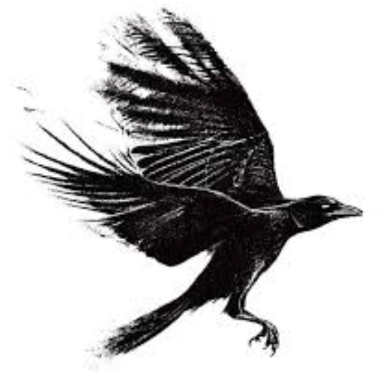 Khayri Crow