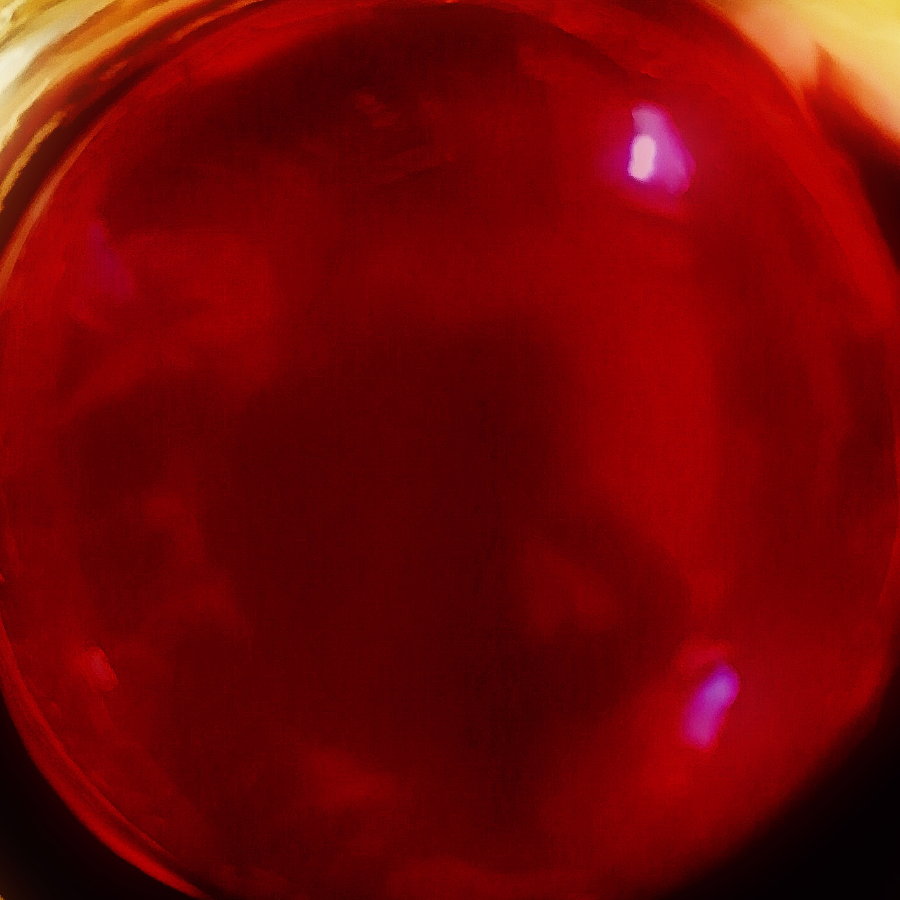 RubyNexus