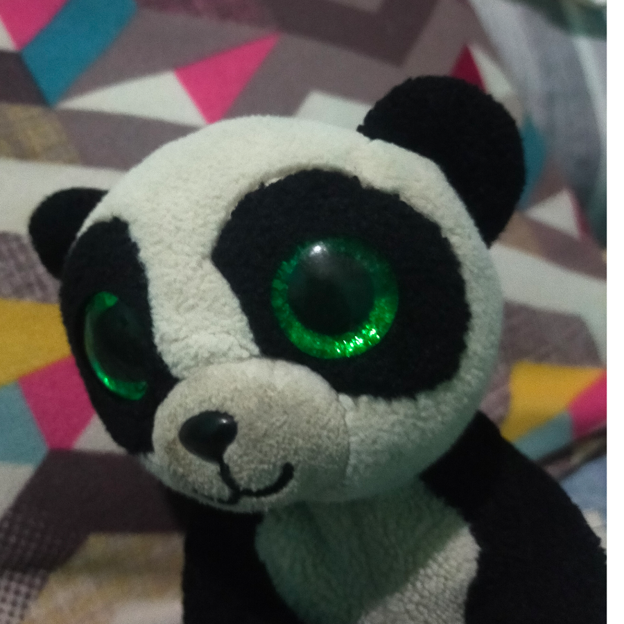 Pandythepanda