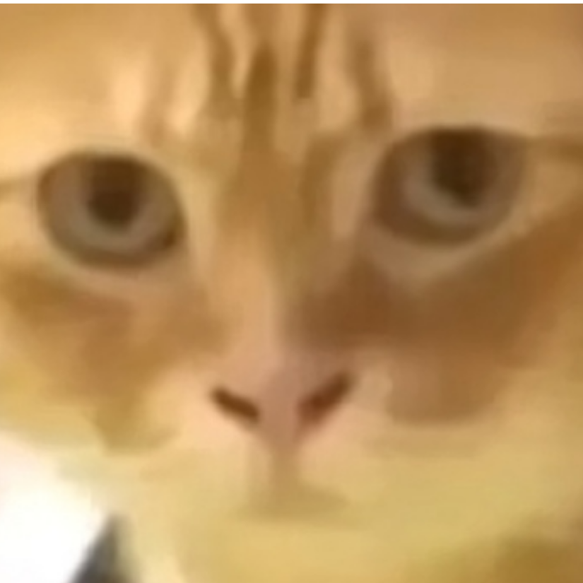 นกเป็ดน้ำ