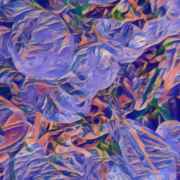 Cosmic Blueprint
