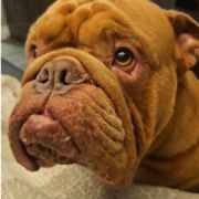 Lukesales836@gmail.com
