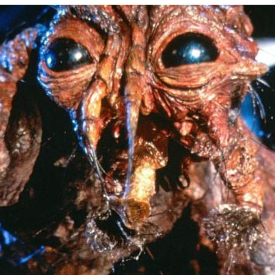 Gregor Samsa