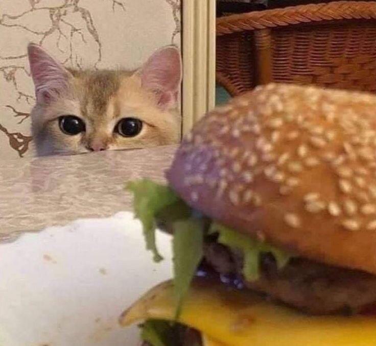 MeowMao