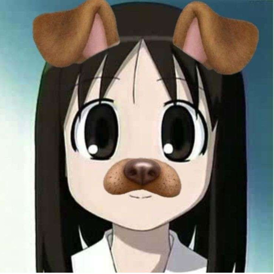 Ayumi.k