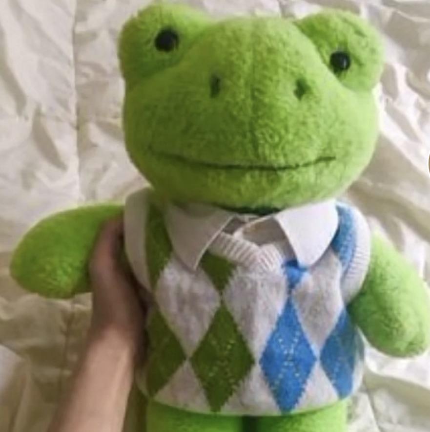 Frog❤️