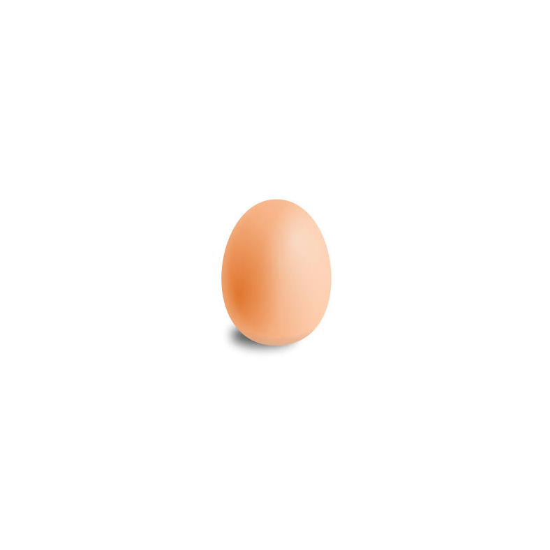 eggg